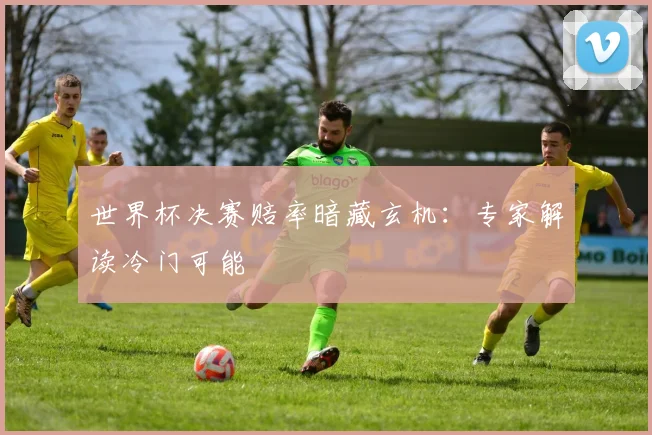 世界杯决赛赔率暗藏玄机:专家解读冷门可能