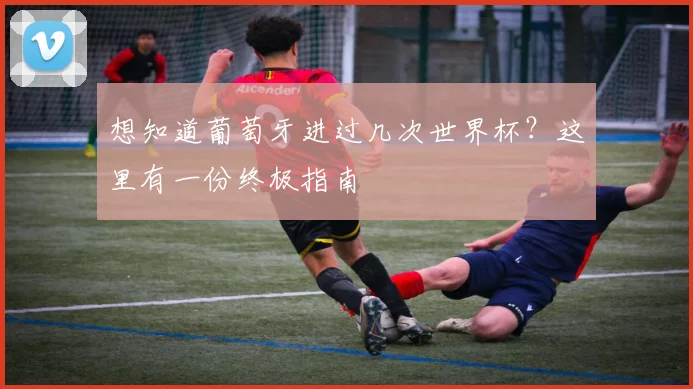 想知道葡萄牙进过几次世界杯？这里有一份终极指南