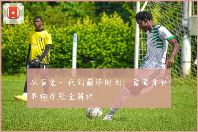 从黄金一代到巅峰时刻：葡萄牙世界杯夺冠全解析