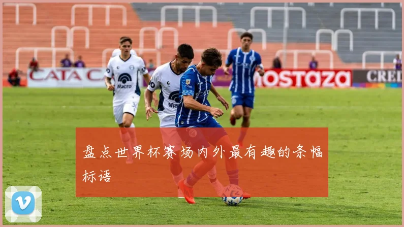 盘点世界杯赛场内外最有趣的条幅标语