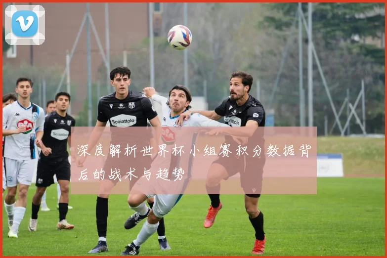 深度解析世界杯小组赛积分数据背后的战术与趋势