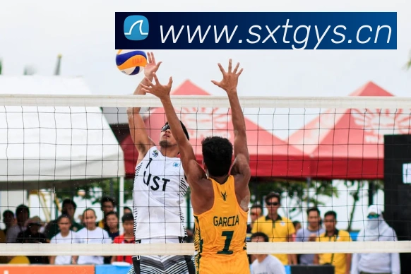 爱趣游戏平台发展历程